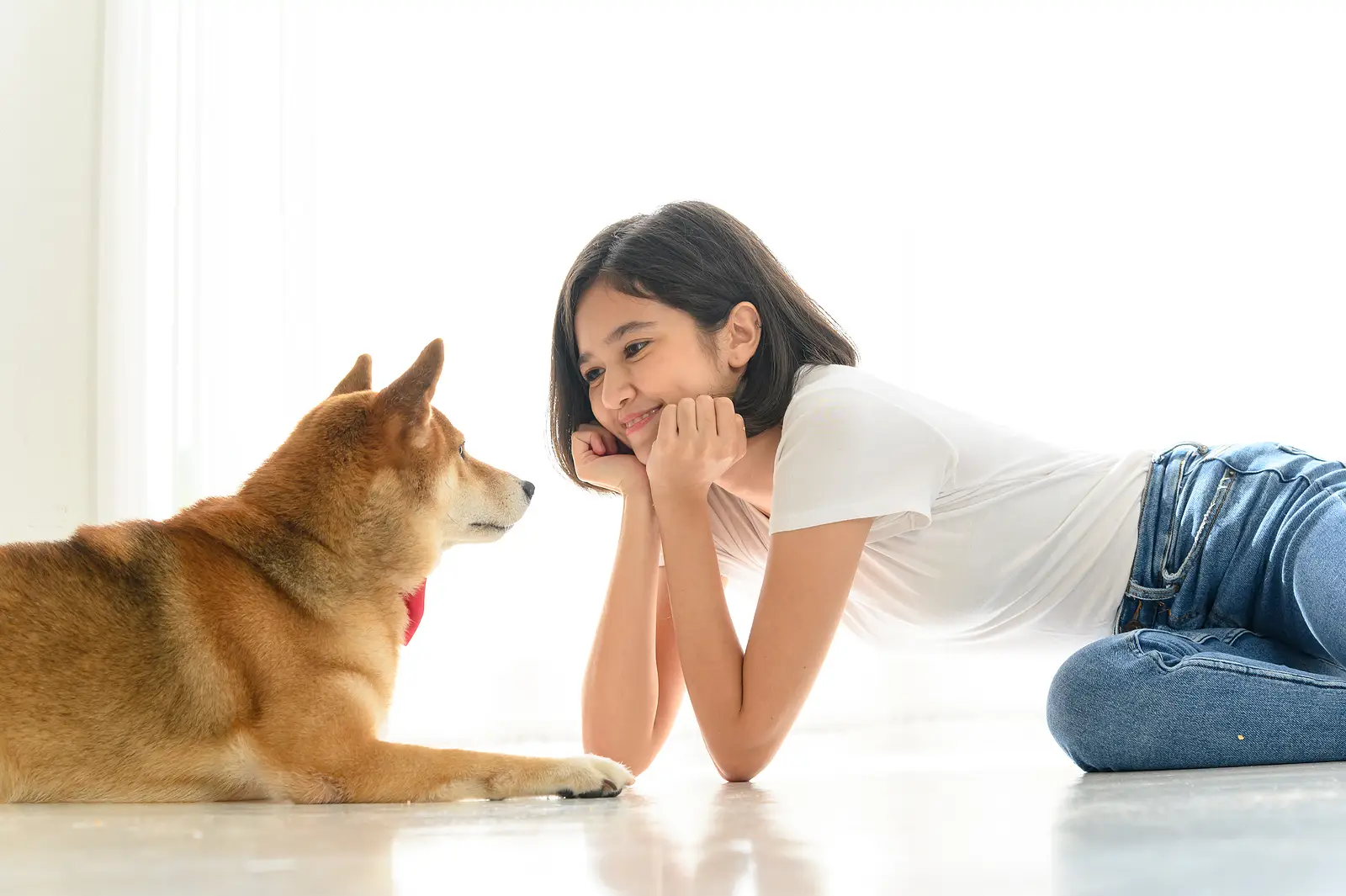 The Pet Policy Advantage: How Tulsa Landlords Can Maximize Their Rental Success